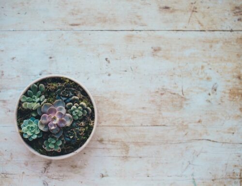 Beyond Talk Therapy: How EMDR and CBT Actually Rewire the Brain