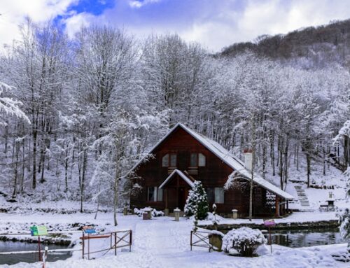 Managing Holiday Loneliness: Finding Peace & Connection During the Holidays